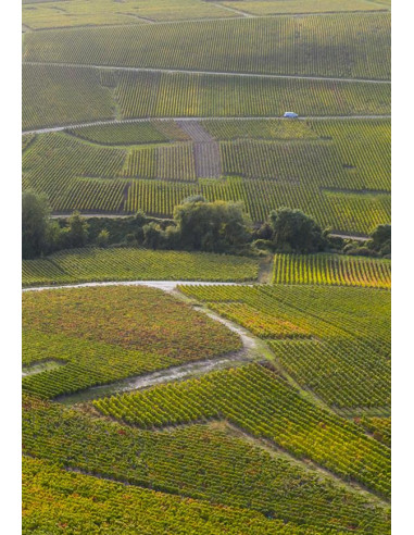 Champagne, Henriot, Brut Souverain