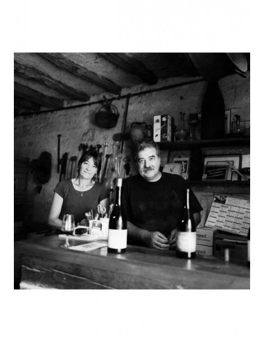 Vallée de la Loire, Bourgueil, Domaine du Bel Air, Jour de soif 2019