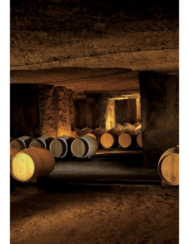Tardieu Laurent Condrieu 2020 - Les Caves de Taillevent