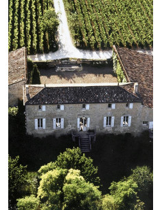 Saint-Emilion, Château Tertre Roteboeuf, 2010 2