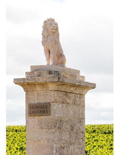Bordeaux, Saint-Julien 2nd cru classé, Château Léoville Las Cases 2004 2