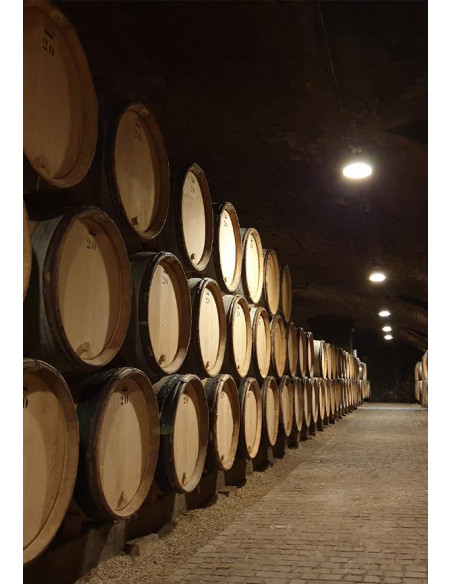 Bourgogne, Domaine des Comtes Lafon, Volnay-Santenots du Milieu 1er Cru 2011