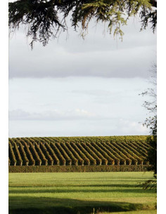 Bordeaux, Saint-Estèphe,... 2