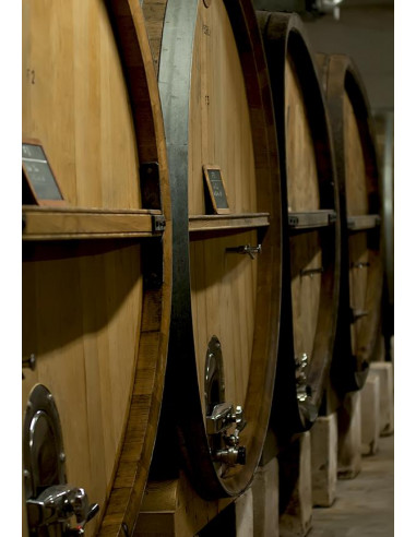 Provence, Bandol, Domaine Tempier, 2018