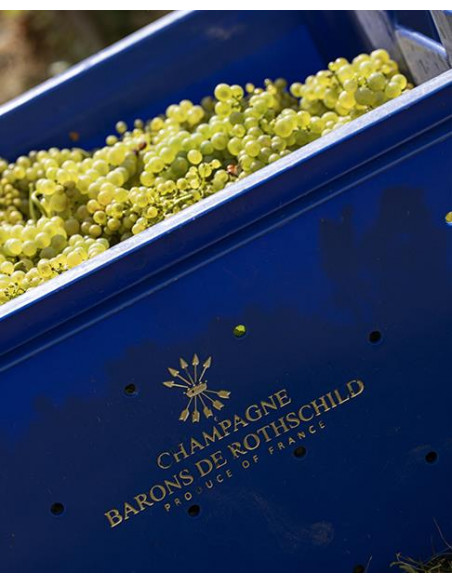 Champagne, Barons de Rothschild, Brut