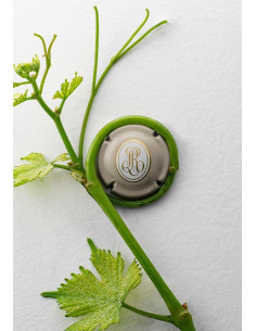Louis Roederer Collection 243 N.M. - Les Caves de Taillevent 2