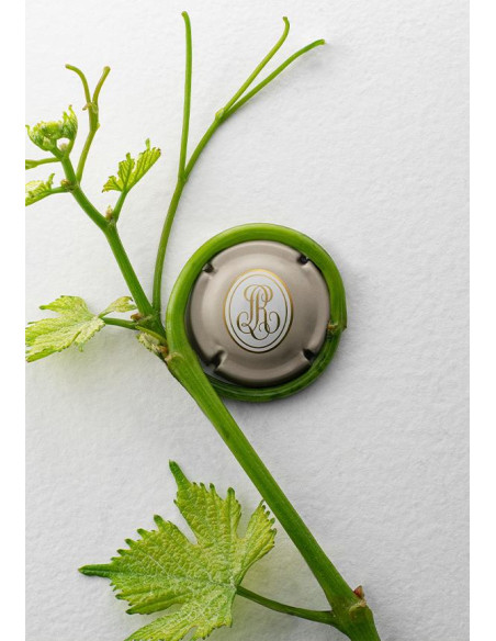 Louis Roederer Collection 243 N.M. - Les Caves de Taillevent