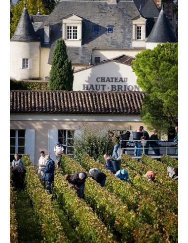 Bordeaux, Pessac-Léognan 1er cru classé, Château Haut-Brion 2006