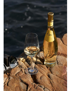 Provence, Côtes de Provence, Domaines Ott, Clos Mireille Blanc de Blancs 2016 2