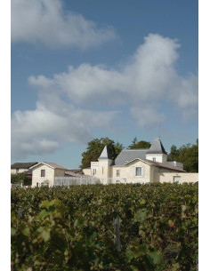 Château de Chambrun 2009 - Les Caves de Taillevent 2