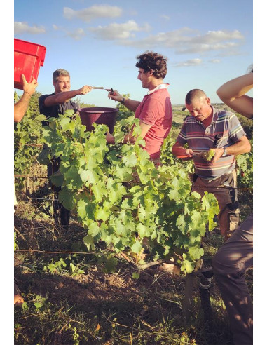 Vallée de la Loire, Vin de France, Terre de l’Elu, L’Aiglerie 2018 