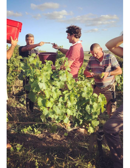 Vallée de la Loire, Vin de France, Terre de l’Elu, L’Aiglerie 2018 