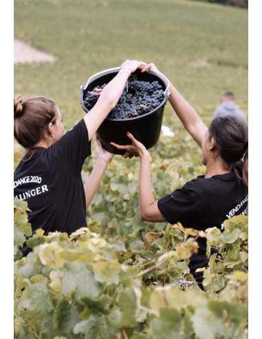 Champagne, Bollinger, La Grande Année 2014