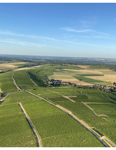 Vallée de la Loire, Sancerre, Domaine Delaporte, Silex, 2021