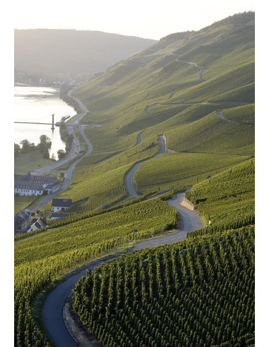 Allemagne, Mosel, Schaefer Willy, Graacher Domprobst Spatlese, 2018