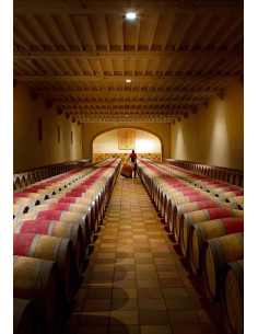 Saint-Estèphe, Château Phélan Ségur, 2010 2