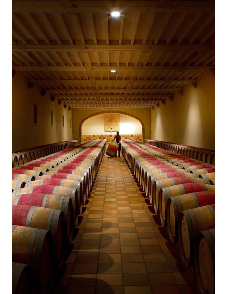 Saint-Estèphe, Château Phélan Ségur, 2010