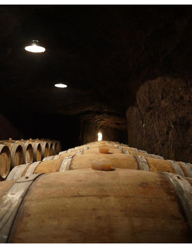 Vallée de la Loire, Saumur-Champigny, Château Yvonne, 2020