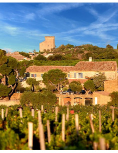 Vallée du Rhône, Châteauneuf du Pape, Domaine de la solitude, Cornelia Constanza, 2016 2