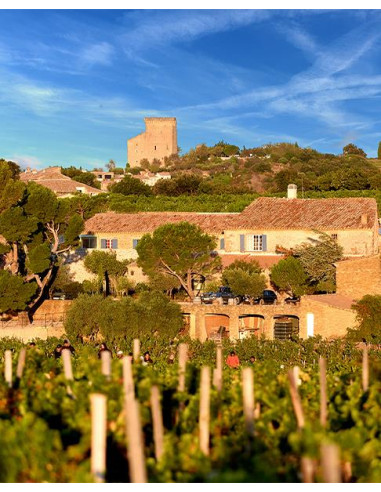 Vallée du Rhône, Châteauneuf du Pape, Domaine de la solitude, Cornelia Constanza, 2016