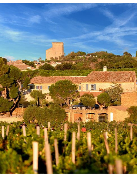 Vallée du Rhône, Châteauneuf du Pape, Domaine de la solitude, Cornelia Constanza, 2016