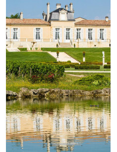Bordeaux, Saint-Julien 2nd cru classé, Château Léoville Las Cases 2008 2