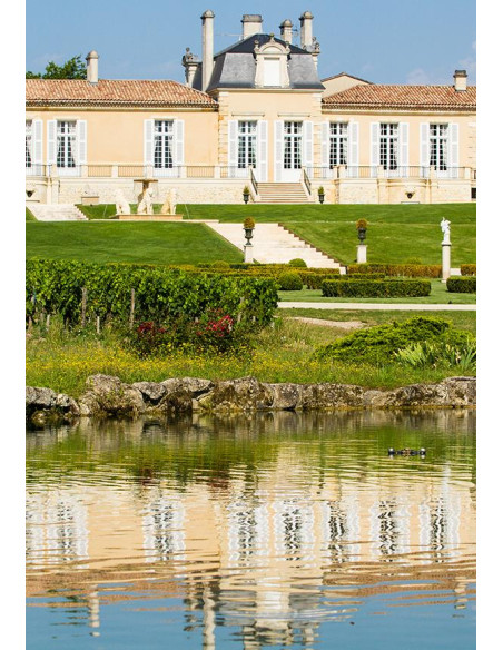 Bordeaux, Saint-Julien 2nd cru classé, Château Léoville Las Cases 2008