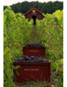 Achat en ligne Champagne Bollinger Spécial Cuvée | 75 cl 2