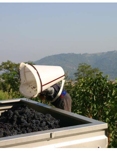 Vallée du Rhône, Crozes-Hermitage, Domaine des Hauts Chassis, Les Chassis, 2020 2