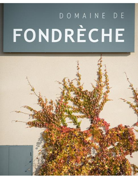 Vallée du Rhône, AOC Ventoux, Domaine de Fondrèche, Il Était Une Fois, 2020