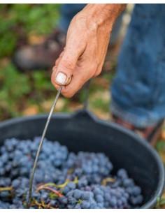 Sud-Ouest, AOC Cahors, Mas del Périé, Les Acacias, 2020 2