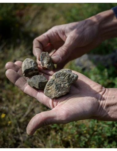 Vallée de la Loire, Muscadet-sèvre-et-Maine, Domaine Haute Févrie, Gras Mouton, 2020