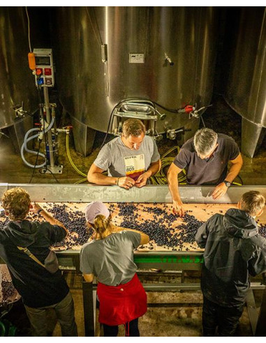 Vallée de la Loire, IGP Val de Loire, Domaine des Closiers, Libere, 2020