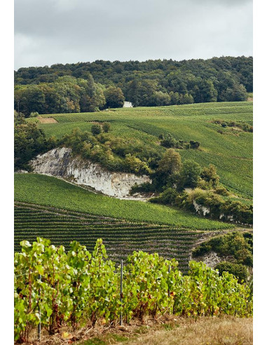 Champagne, Charles Heidsieck, Rosé Réserve, Magnum