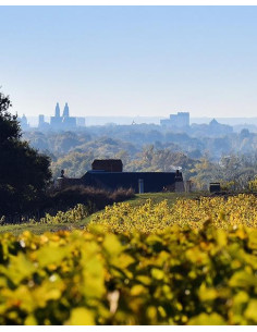 Vallée de la Loire, Vouvray, Clos Naudin, Vouvray Sec, 2019 2