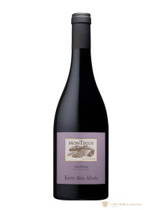 Montirius Terre des Aînés 2016 - Les Caves de Taillevent