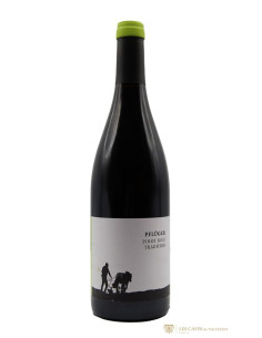 Allemagne, Palatinat, Domaine Pflüger, Tradition, 2020