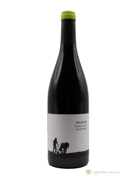 Allemagne, Palatinat, Domaine Pflüger, Tradition, 2020