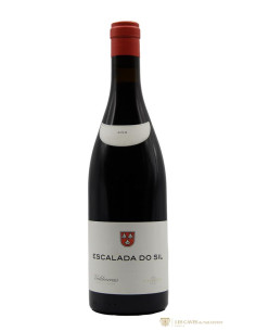 Alberto Orte Escalada do Sil 2019 - Les Caves de Taillevent