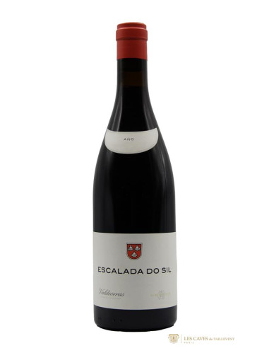 Alberto Orte Escalada do Sil 2019 - Les Caves de Taillevent