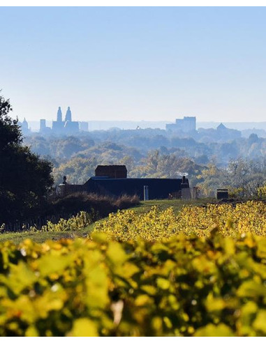 Vallée de la Loire, Vouvray, Clos Naudin – Domaine Foreau, Vouvray Moelleux, 2017