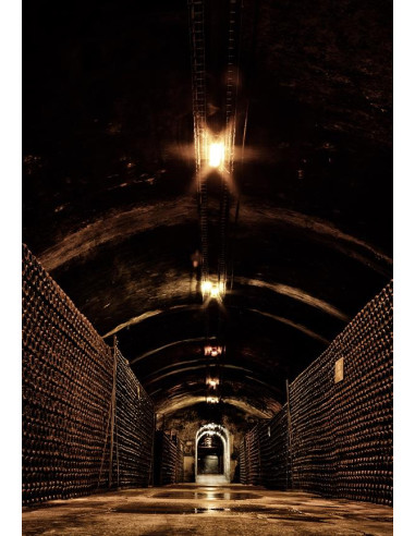 Bollinger PN AYC 18 N.M. - Les Caves de Taillevent