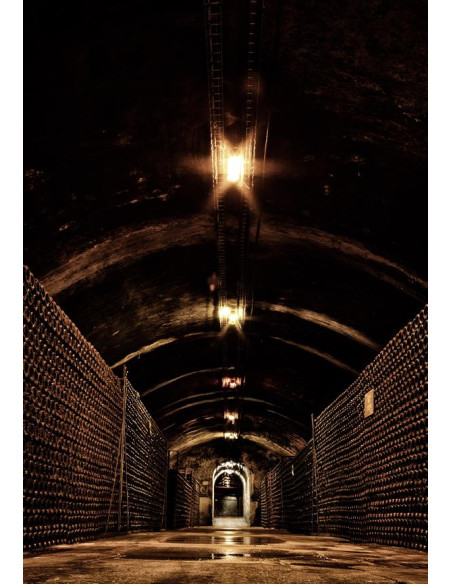 Bollinger PN AYC 18 N.M. - Les Caves de Taillevent