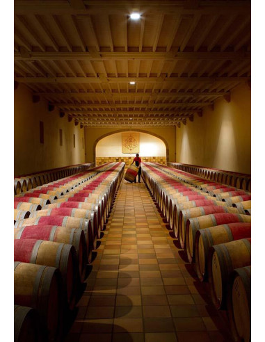 Bordeaux, Saint Estèphe, Château Phélan Ségur, 2018, Magnum