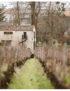Bordeaux, Pessac-Léognan, Château Les Carmes Haut-Brion, 2018 2