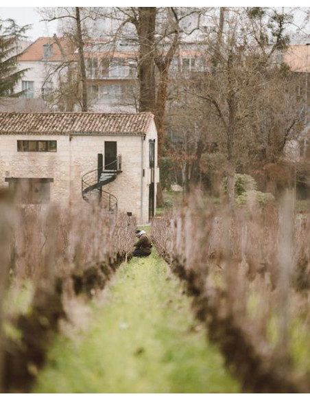 Bordeaux, Pessac-Léognan, Château Les Carmes Haut-Brion, 2018