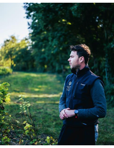 Vallée de la Loire, AOC Touraine, Les Quatre Piliers, Bel Air, 2020