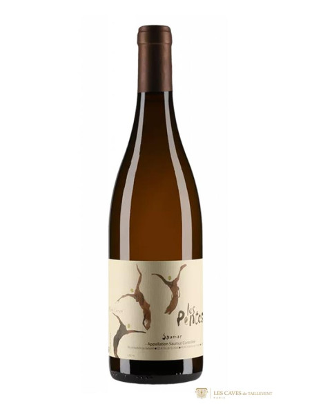 Saumur, Michel Chevré, Les Pentes, 2021, Les Caves de Taillevent