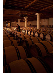 Pessac-Léognan, Château Haut-Brion, 2003 2