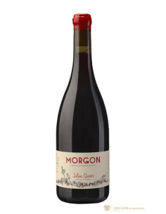 Beaujolais, AOC Morgon, Julien Sunier, Morgon, 2022